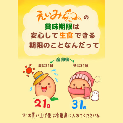 栄味卵 10個入 (3パック）