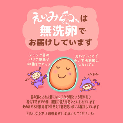 栄味卵 10個入 (6パック）
