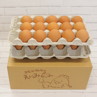 栄味卵 30個入