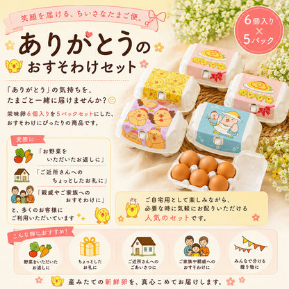 🥚 ありがとうのおすそわけセット
🌼 笑顔を届ける、ちいさなたまご便。
